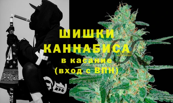 амф Алзамай